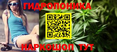 2c-b Камышлов