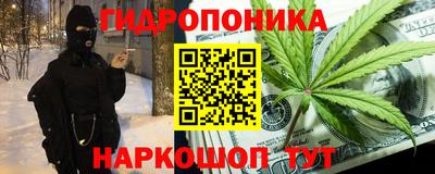 2c-b Камышлов